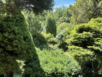 Prodej pozemku 397 m², Jenišov