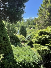 Prodej pozemku 397 m², Jenišov
