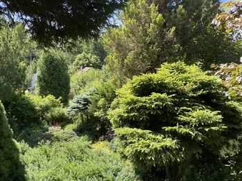 Prodej pozemku 397 m², Jenišov