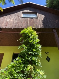 Prodej pozemku 397 m², Jenišov