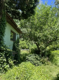 Prodej pozemku 397 m², Jenišov