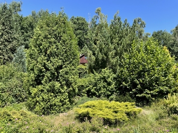 Prodej pozemku 397 m², Jenišov