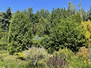 Prodej pozemku 397 m², Jenišov