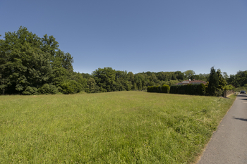 Prodej pozemku 5569 m², Stará Ves nad Ondřejnicí