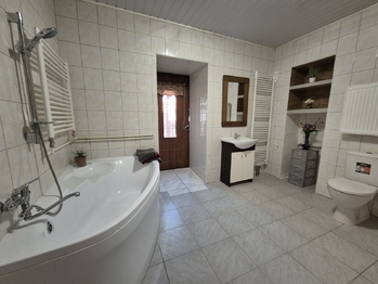 Koupelna s WC - Prodej domu 199 m², Vraný