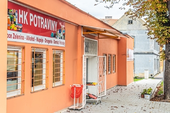 Potraviny - Prodej domu 199 m², Vraný