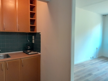 Pronájem bytu 1+kk v osobním vlastnictví 41 m², Praha 6 - Řepy