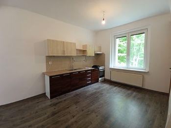 Pronájem bytu 2+kk v osobním vlastnictví 61 m², Teplice