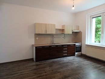 Pronájem bytu 2+kk v osobním vlastnictví 61 m², Teplice