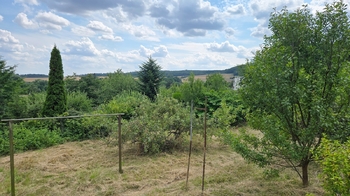 Zahrada - Prodej domu 150 m², Račice-Pístovice