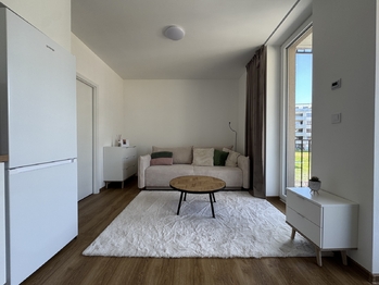 Pronájem bytu 1+kk v osobním vlastnictví 27 m², Olomouc