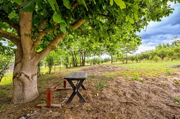 Prodej domu 95 m², Albrechtice nad Vltavou