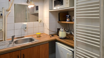 Koupelna, kuchyňka - Prodej obchodních prostor 99 m², Brno
