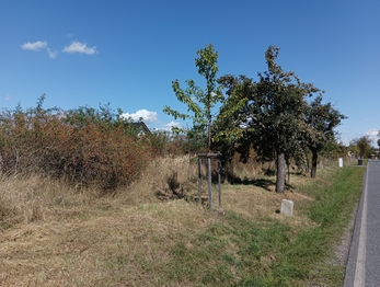 Prodej pozemku 4554 m², Úvaly