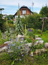 Prodej domu 154 m², Skuhrov