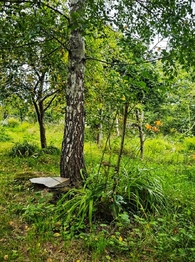 Prodej domu 154 m², Skuhrov