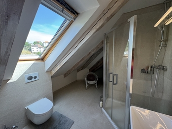 Pronájem bytu 1+kk v osobním vlastnictví 104 m², Praha 5 - Smíchov