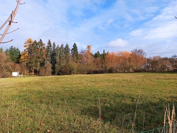 Prodej pozemku 5061 m², Václavice