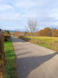 Prodej pozemku 5061 m², Václavice