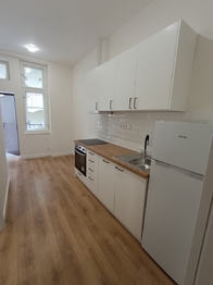 Pronájem bytu 1+1 v osobním vlastnictví 32 m², Praha 2 - Vyšehrad