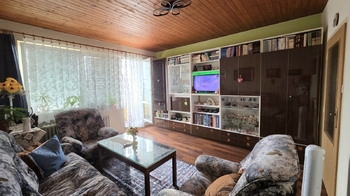 Prodej bytu 3+1 v družstevním vlastnictví 67 m², Orlová