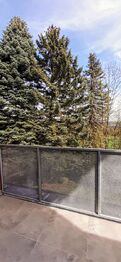 Prodej bytu 1+kk v osobním vlastnictví 56 m², Vrbno pod Pradědem