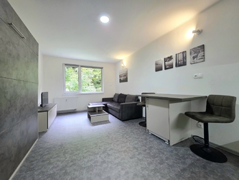 Prodej bytu 1+kk v osobním vlastnictví 28 m², Ostrov