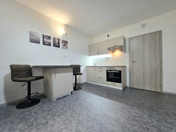 Prodej bytu 1+kk v osobním vlastnictví 28 m², Ostrov