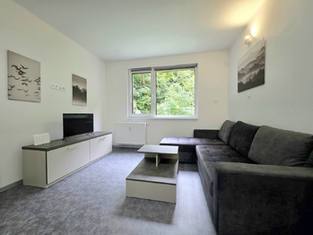 Prodej bytu 1+kk v osobním vlastnictví 28 m², Ostrov