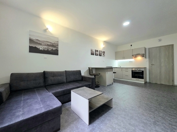 Prodej bytu 1+kk v osobním vlastnictví 28 m², Ostrov