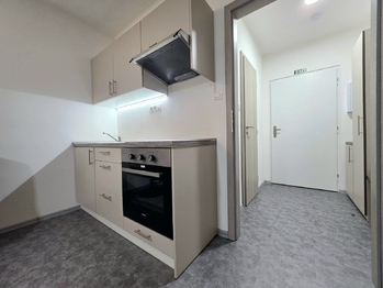 Prodej bytu 1+kk v osobním vlastnictví 28 m², Ostrov