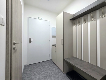 Prodej bytu 1+kk v osobním vlastnictví 28 m², Ostrov
