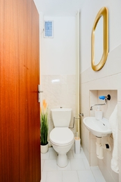 2 NP toaleta - Prodej domu 280 m², Brno