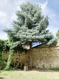 zahrada - Prodej domu 110 m², Hředle