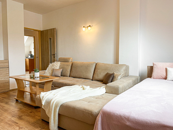Pronájem bytu 1+1 v osobním vlastnictví 42 m², Příbram