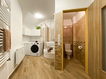 Pronájem bytu 1+1 v osobním vlastnictví 42 m², Příbram