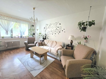 Prodej bytu 1+1 v družstevním vlastnictví 36 m², Bruntál