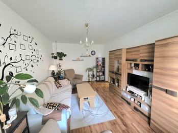 Prodej bytu 1+1 v družstevním vlastnictví 36 m², Bruntál
