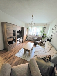 Prodej bytu 1+1 v družstevním vlastnictví 36 m², Bruntál