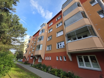 Prodej bytu 1+1 v družstevním vlastnictví 36 m², Bruntál