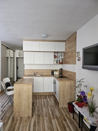 Pronájem bytu 1+kk v družstevním vlastnictví 40 m², Český Těšín