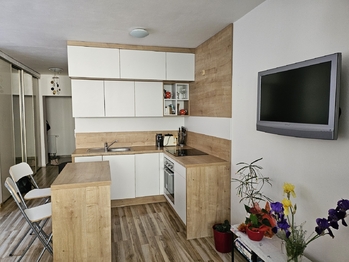 Pronájem bytu 1+kk v družstevním vlastnictví 40 m², Český Těšín