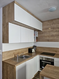 Pronájem bytu 1+kk v družstevním vlastnictví 40 m², Český Těšín