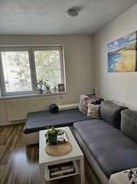 Pronájem bytu 1+kk v družstevním vlastnictví 40 m², Český Těšín