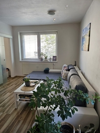 Pronájem bytu 1+kk v družstevním vlastnictví 40 m², Český Těšín