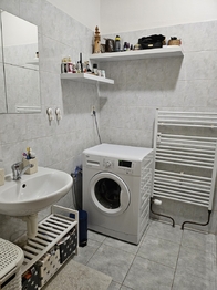 Pronájem bytu 1+kk v družstevním vlastnictví 40 m², Český Těšín