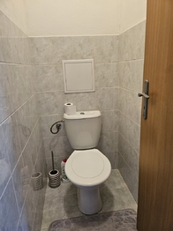Pronájem bytu 1+kk v družstevním vlastnictví 40 m², Český Těšín