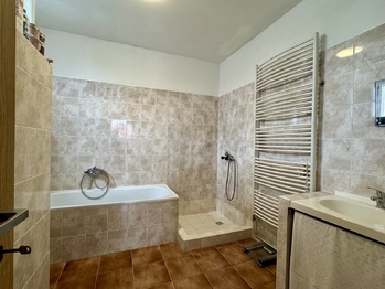 Koupelna - Prodej domu 313 m², Dolní Újezd