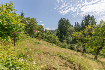 Výhled ze zahrady - Prodej chaty / chalupy 190 m², Zlatá Olešnice