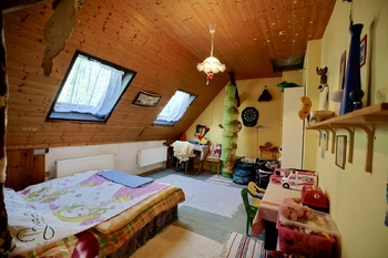 Prodej domu 280 m², Vítkov